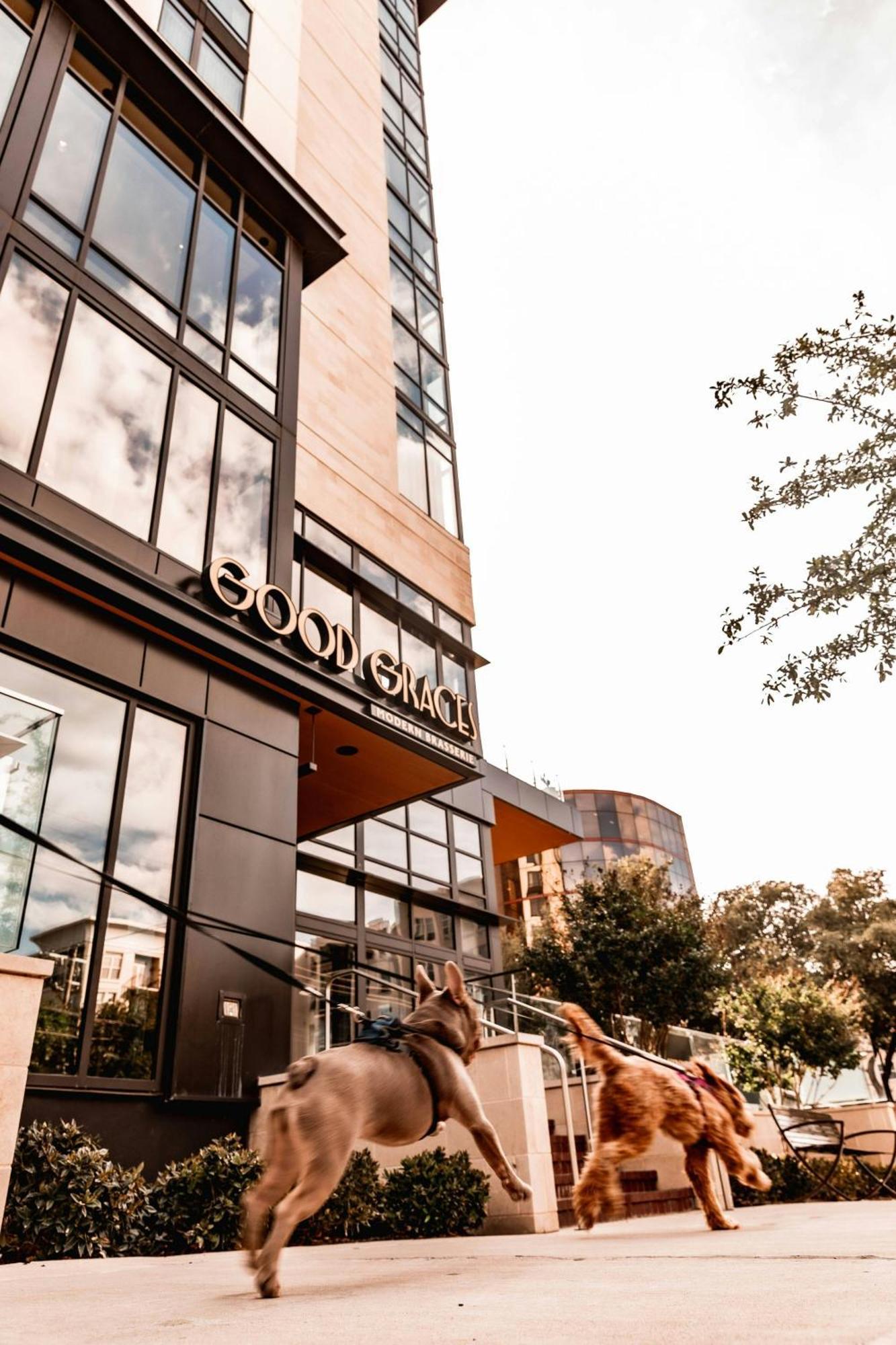 Marriott Dallas Uptown Exterior foto